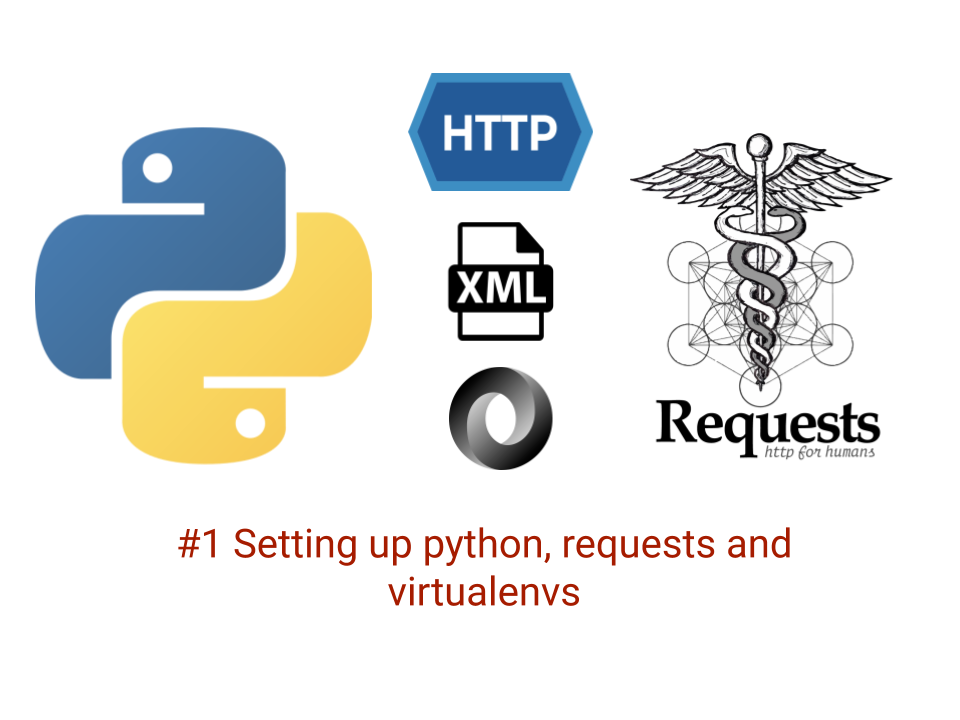 Python and requests and header