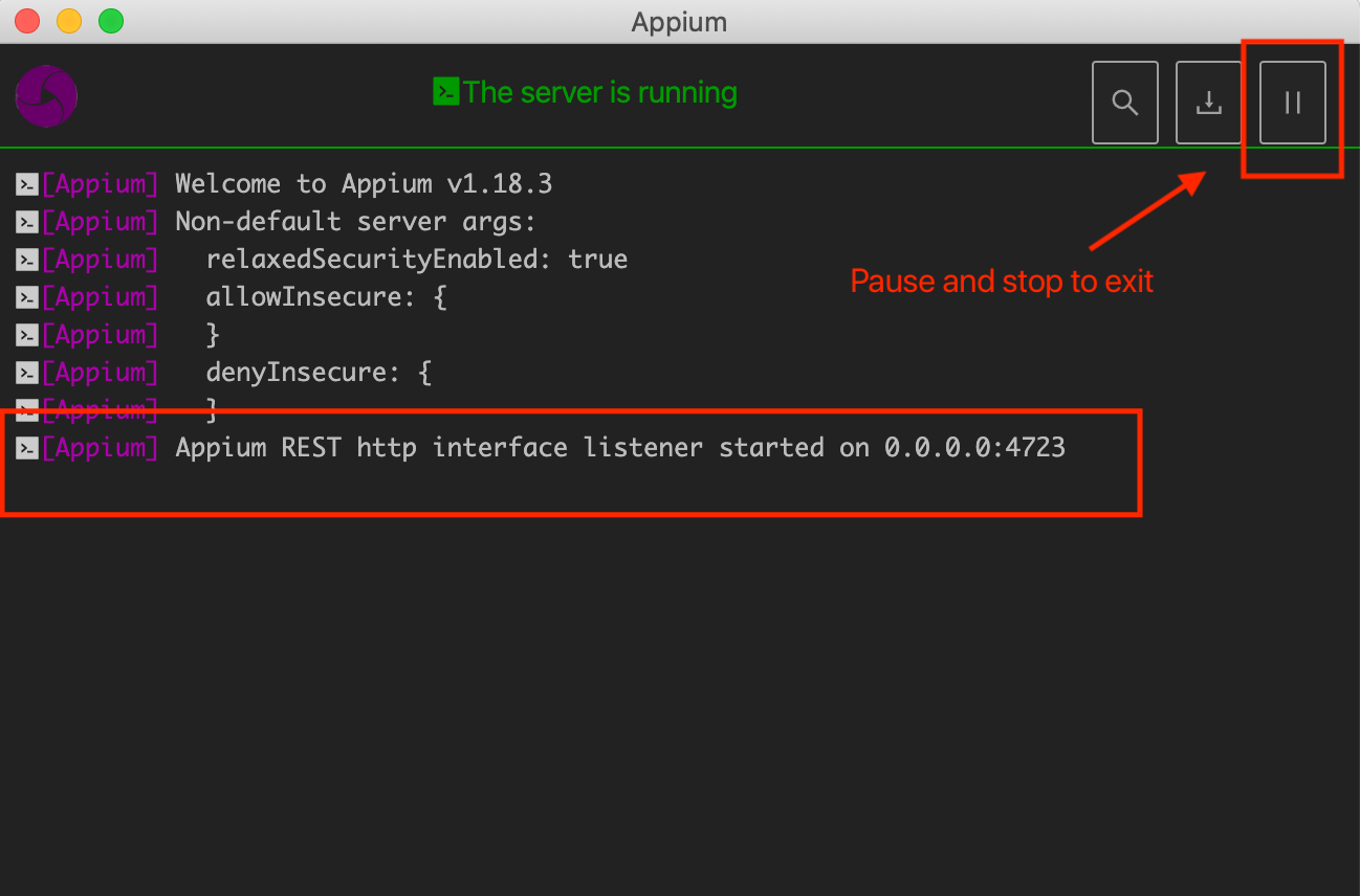 Appium Desktop Server launched